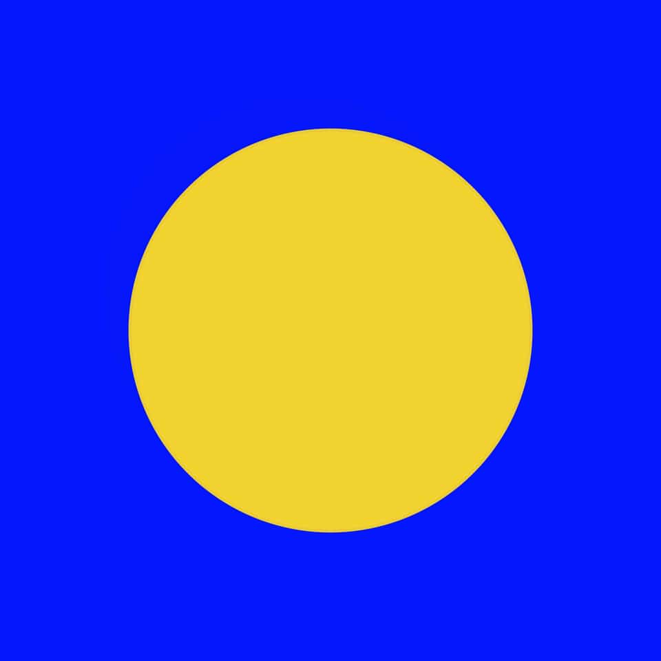 A disc from above. Its two holes go on the centreline, one near the top and one near the bottom.