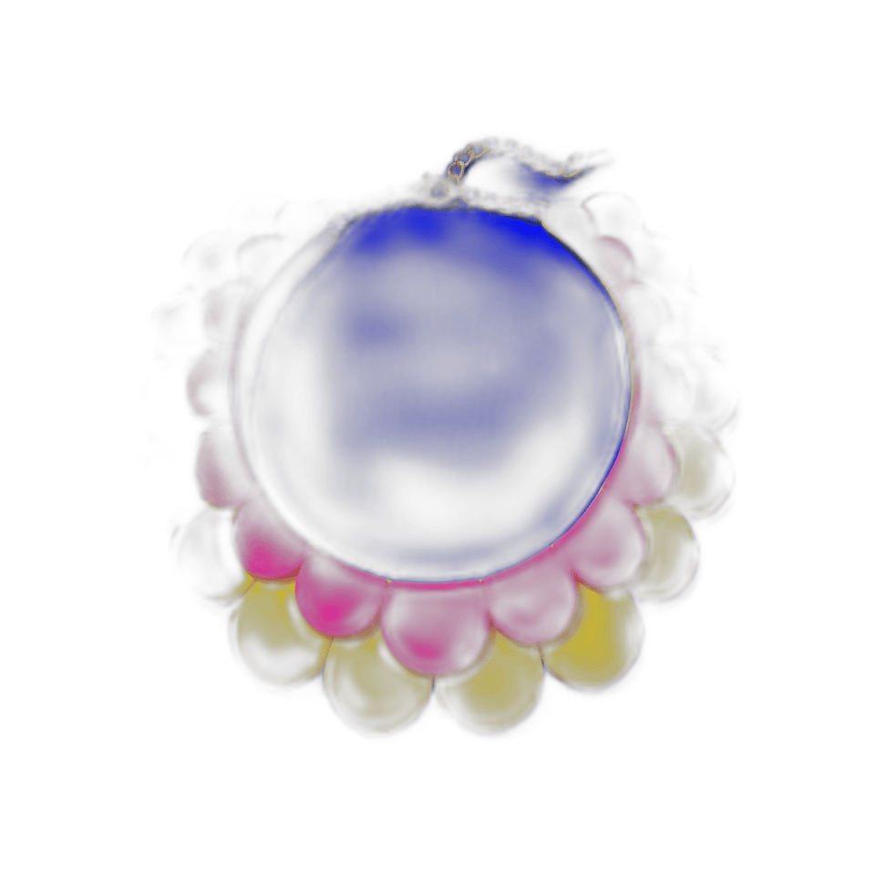 Hot Pink & Yellow Layered Scallop Collar Necklace, isolated cut-out
