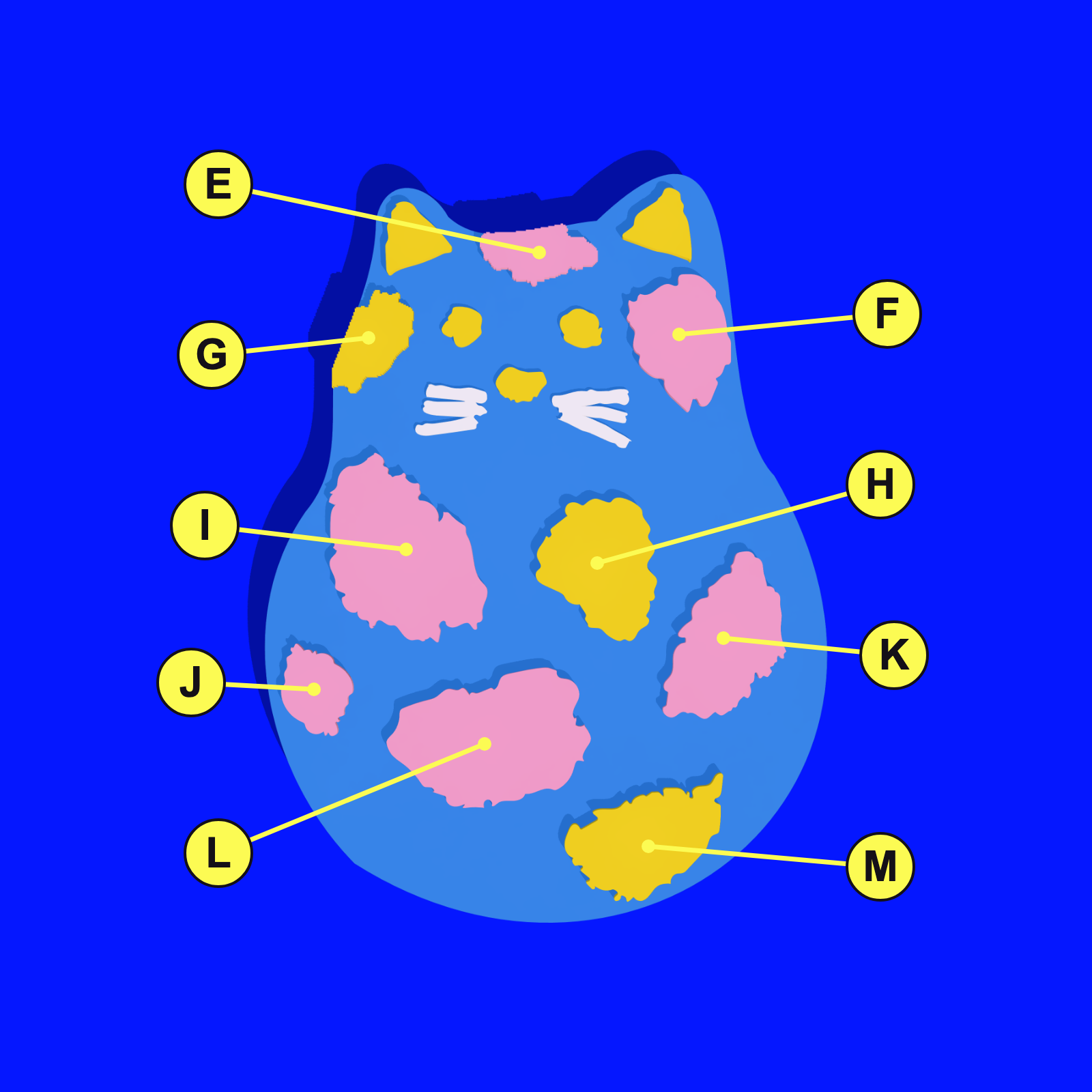 Placement diagram of a light blue cat silhouette on a cobalt background with two yellow inner ears, pink and yellow spots, yellow eyes and nose and white whiskers, each spot joined by a yellow leader line to a lettered yellow circle